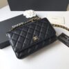 19 new upgraded version of CHANE WOC chain bag