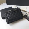 19 new upgraded version of CHANE WOC chain bag
