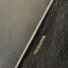 Celine Triomphe Triumph Bag