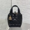 Dior Toujours vertical series mini
