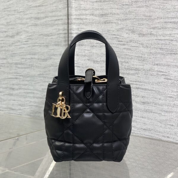 Dior Toujours vertical series mini