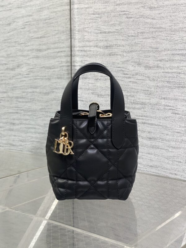 Dior Toujours vertical series mini
