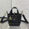 Dior Toujours vertical series mini