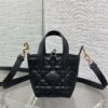 Dior Toujours vertical series mini