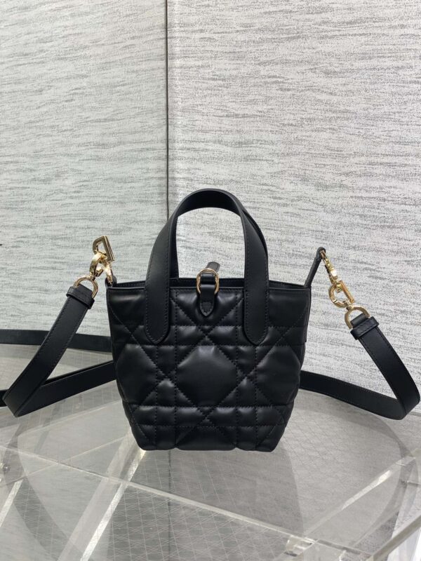 Dior Toujours vertical series mini