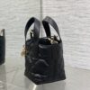 Dior Toujours vertical series mini
