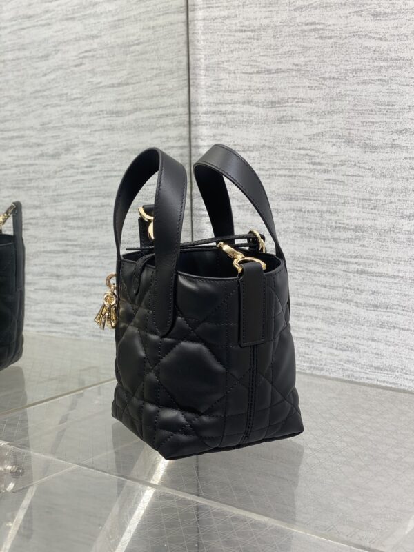 Dior Toujours vertical series mini