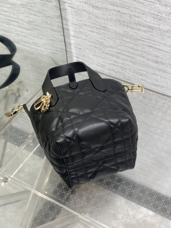 Dior Toujours vertical series mini