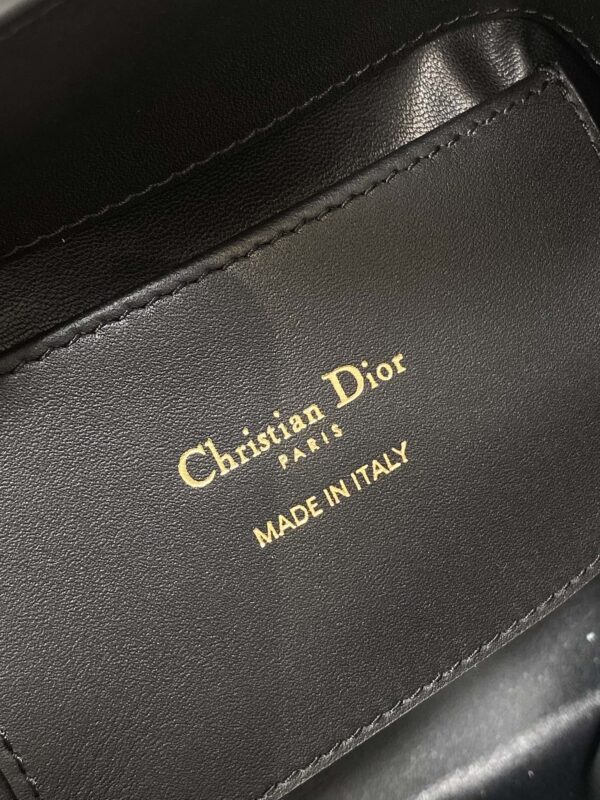 Dior Toujours vertical series mini