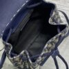 Dior mini backpack