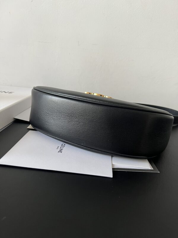 CELINE AVA TRIOMPHE shoulder bag and handbag,
