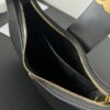 CELINE AVA TRIOMPHE shoulder bag and handbag,
