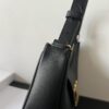 CELINE AVA TRIOMPHE shoulder bag and handbag,