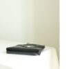 Chanel 24C 31 handbag nano mini horizontal version